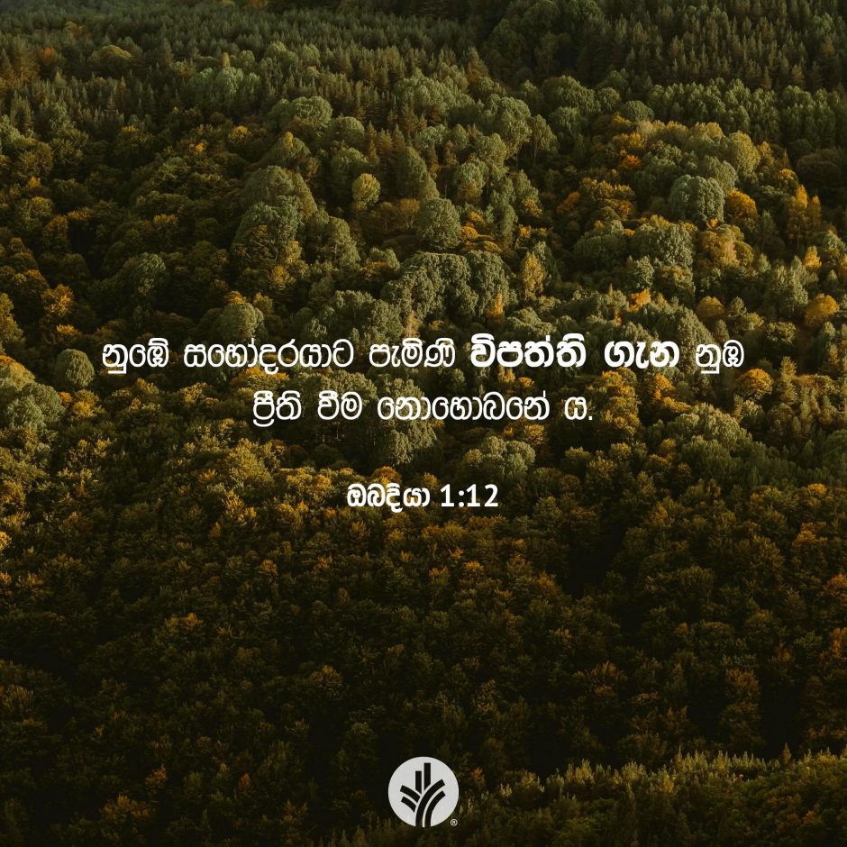 Share ODB 2025-11-13