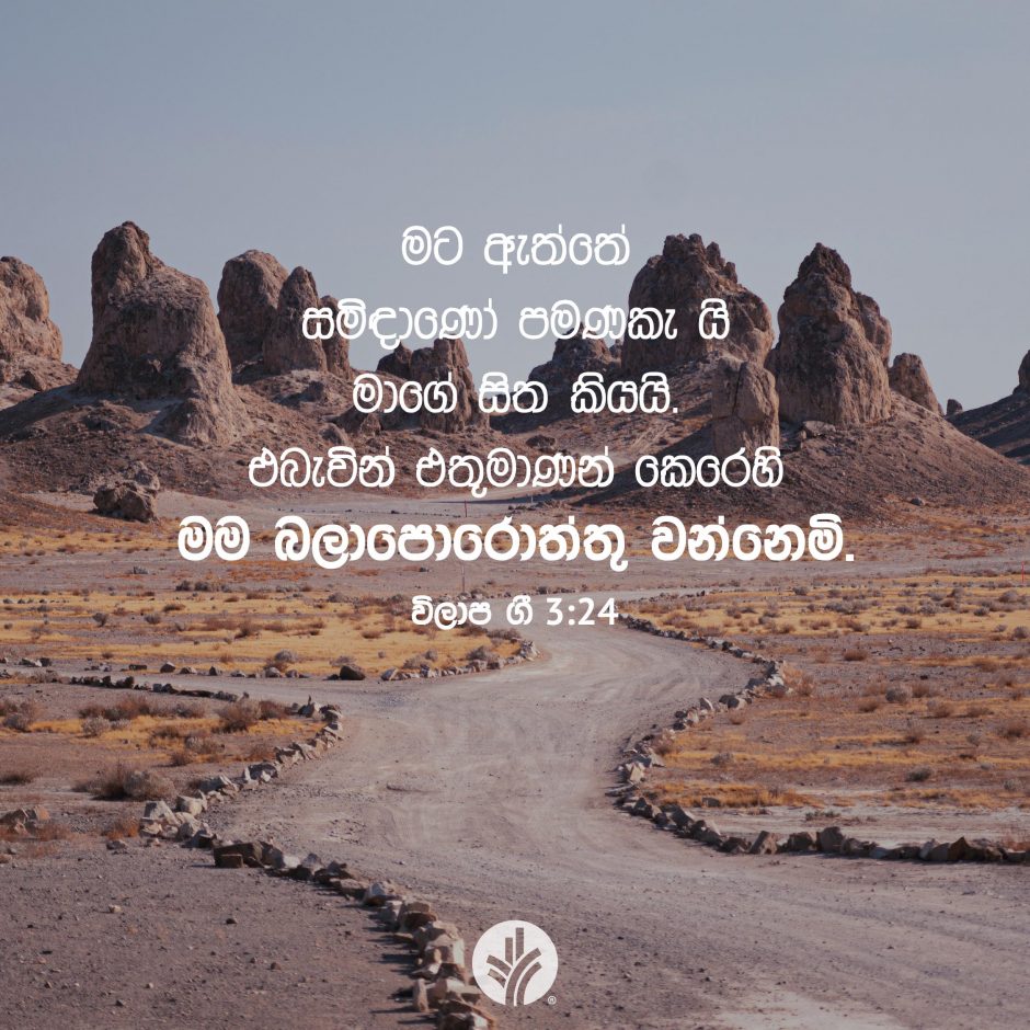 Share ODB 2025-11-14