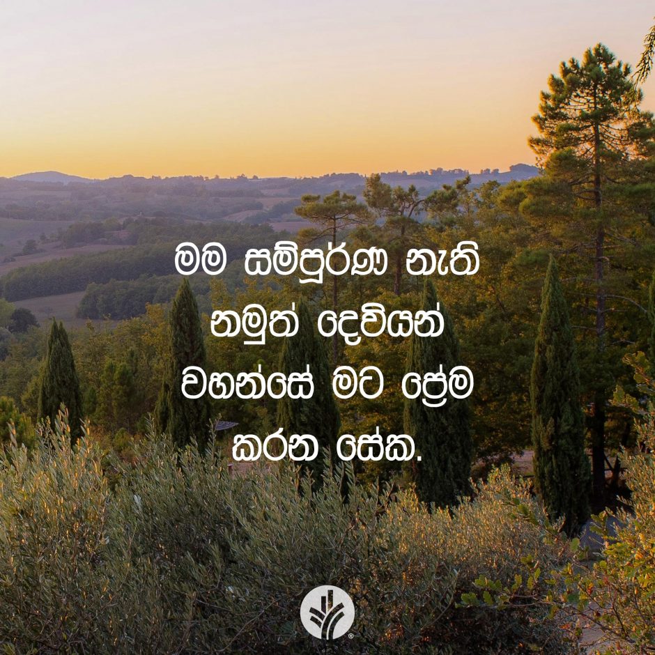 Share ODB 2025-11-15