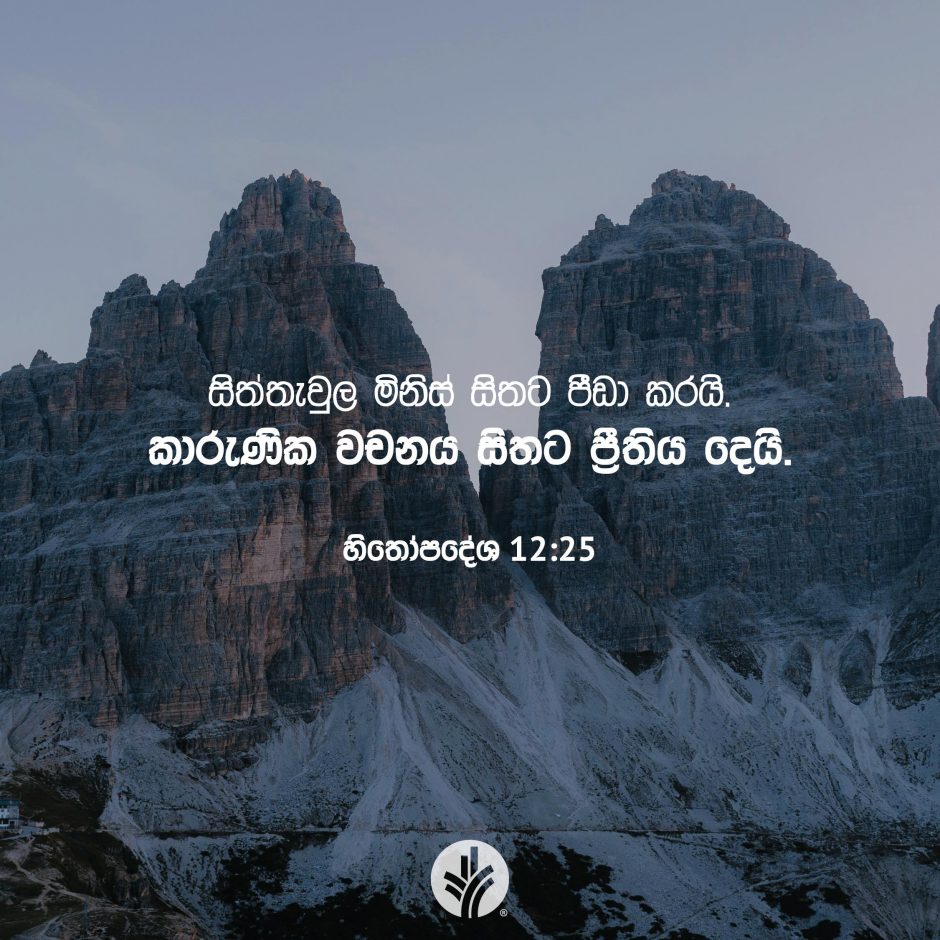 Share ODB 2025-11-17