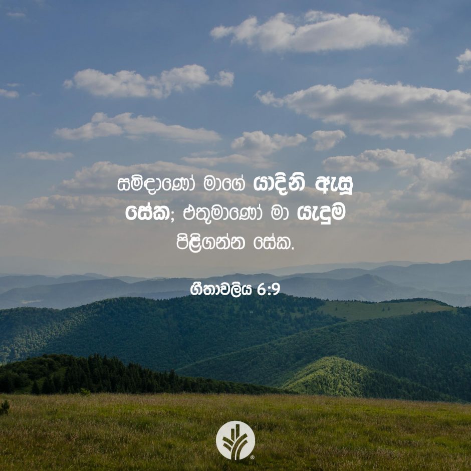 Share ODB 2025-11-19