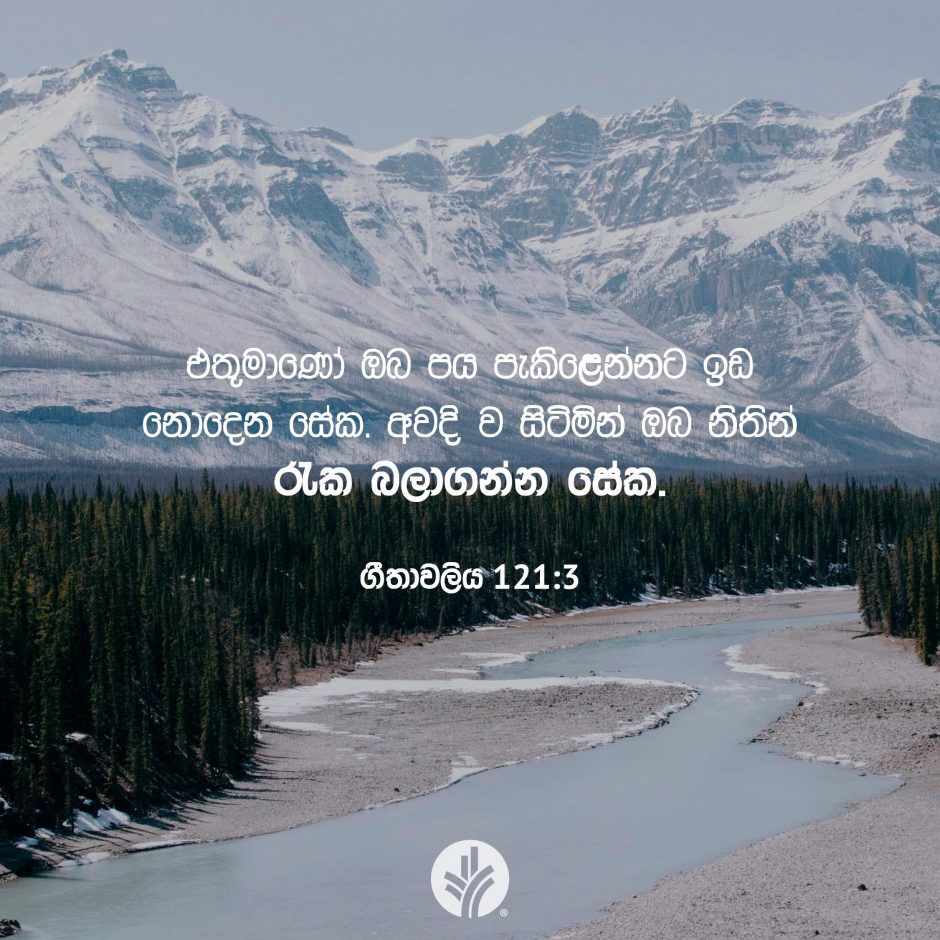 Share ODB 2025-11-21