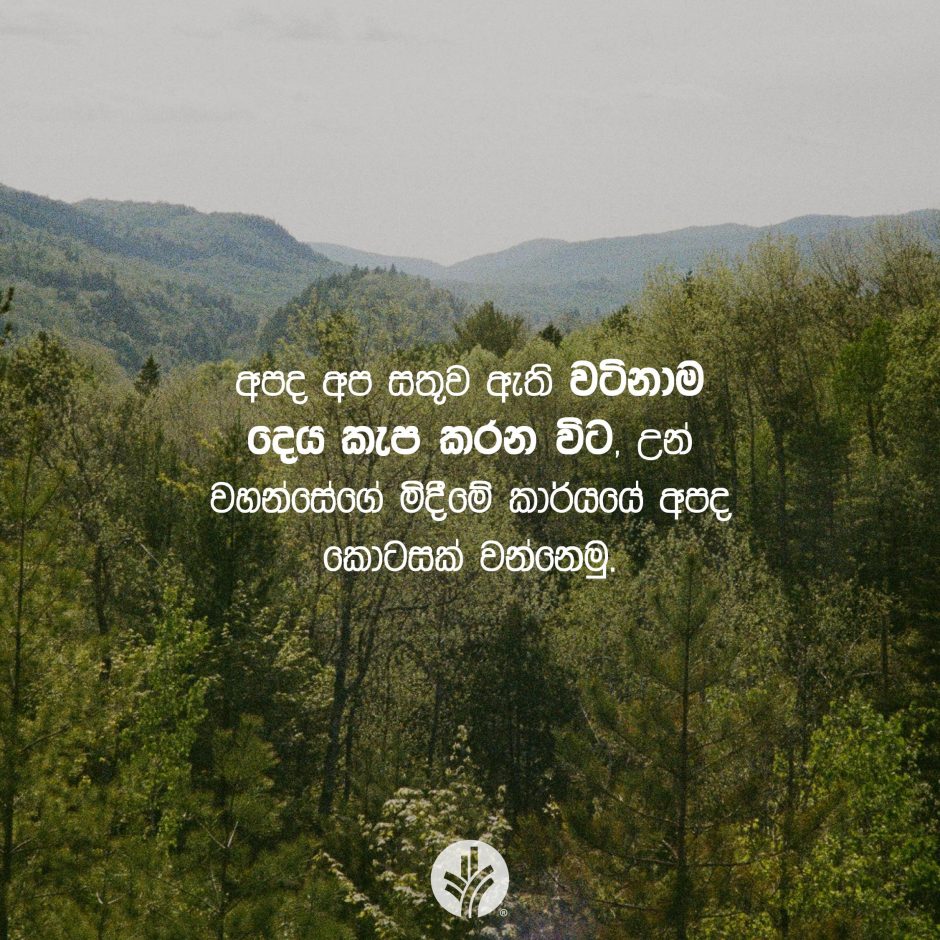 Share ODB 2025-11-22