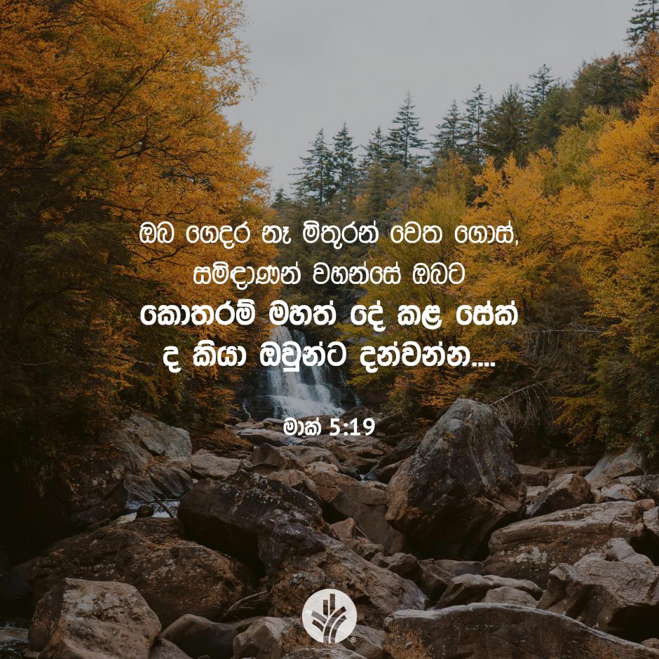 Share ODB 2025-11-23