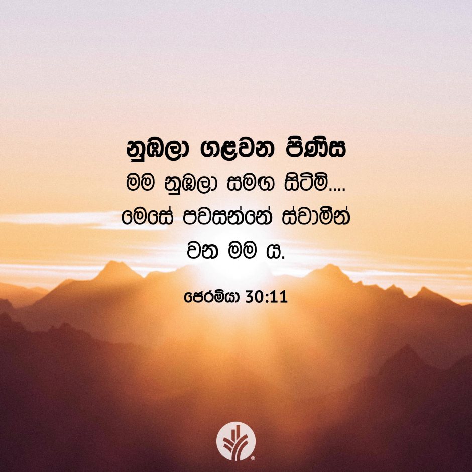 Share ODB 2025-11-24