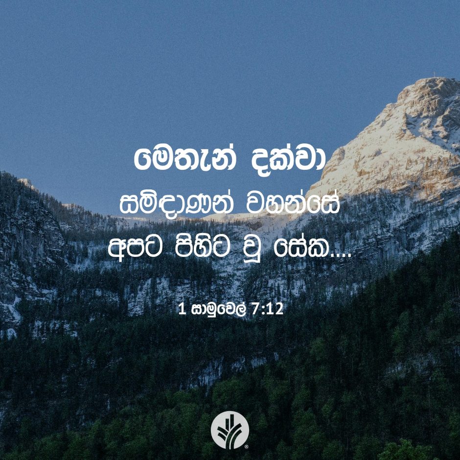 Share ODB 2025-11-25