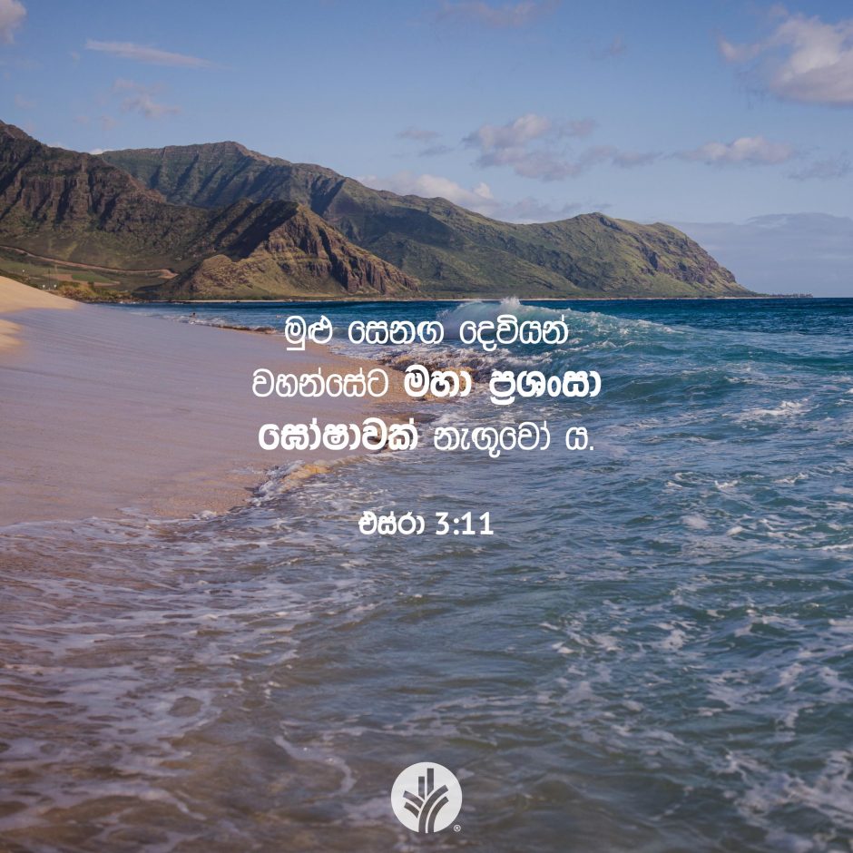 Share ODB 2025-11-26