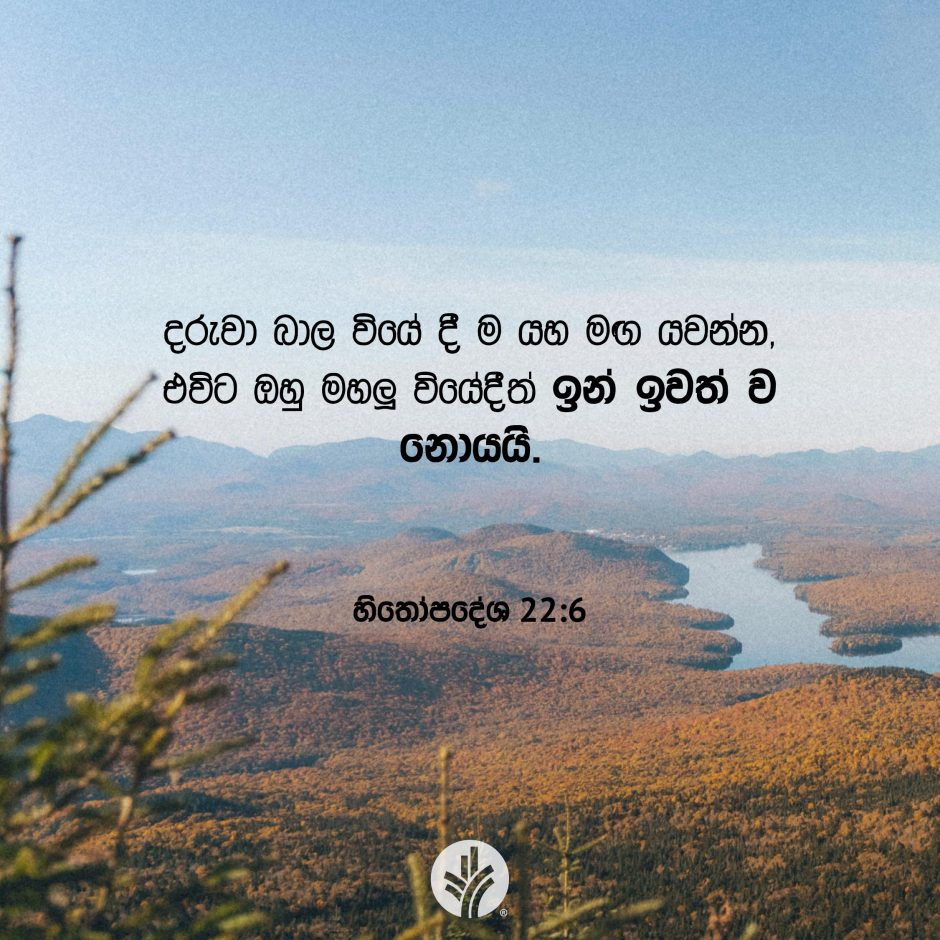 Share ODB 2025-11-27