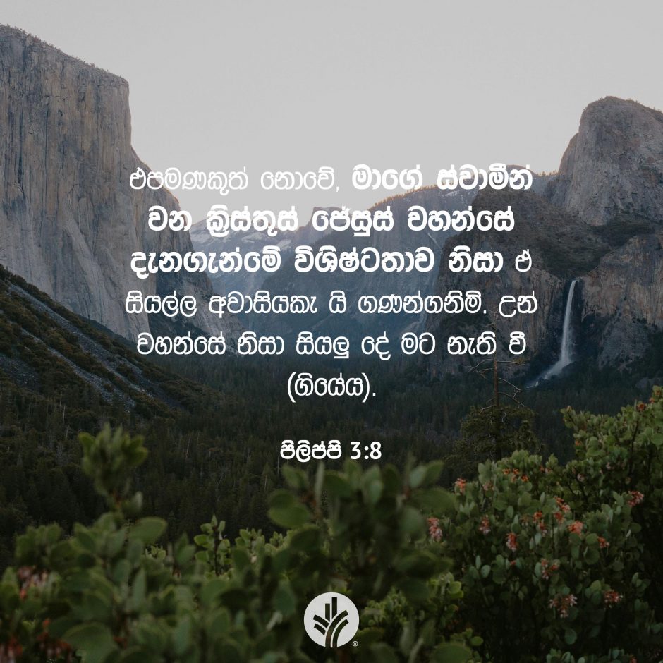 Share ODB 2025-11-28