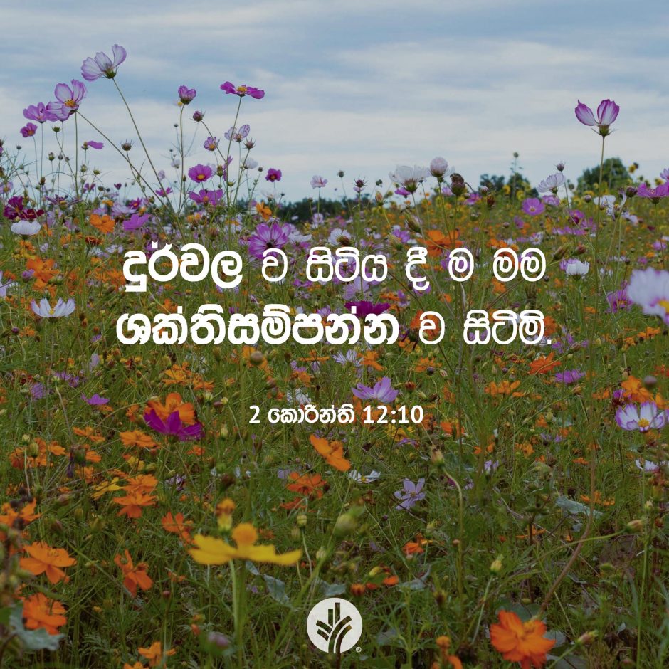 Share ODB 2025-11-29