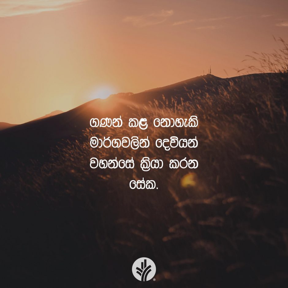 Share ODB 2025-11-30