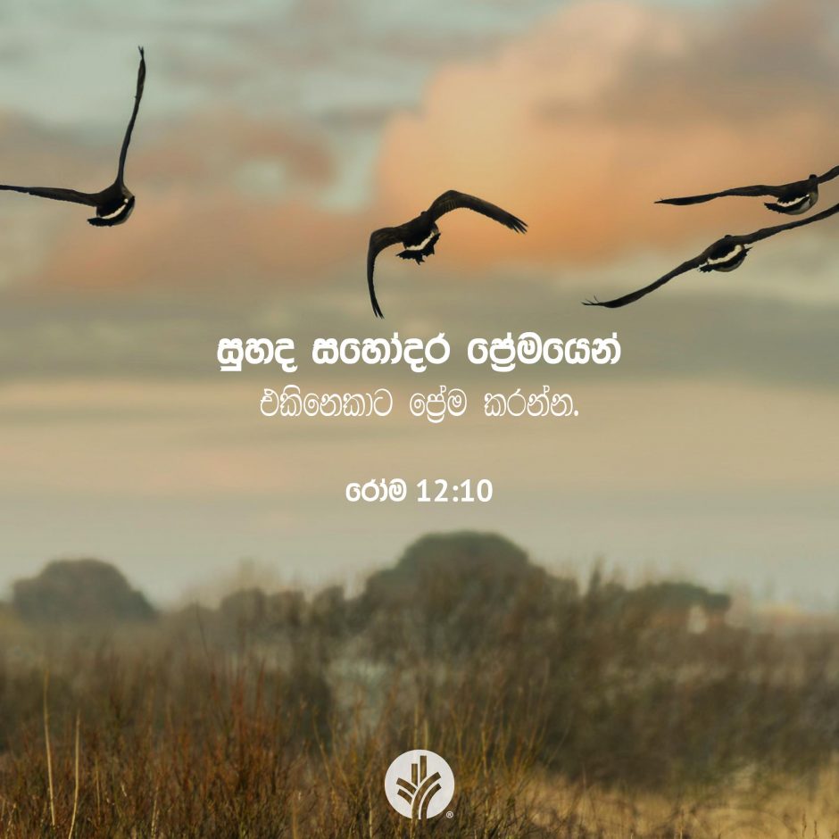 Share ODB 2025-12-01