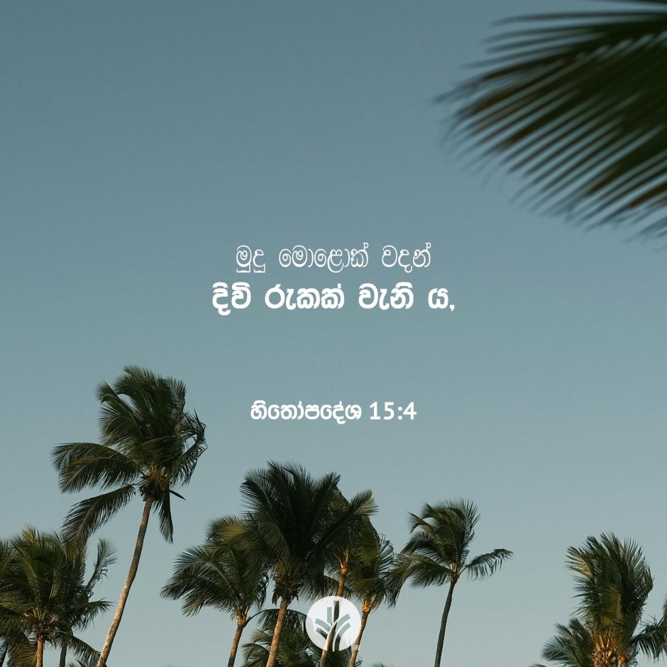 Share ODB 2025-12-02