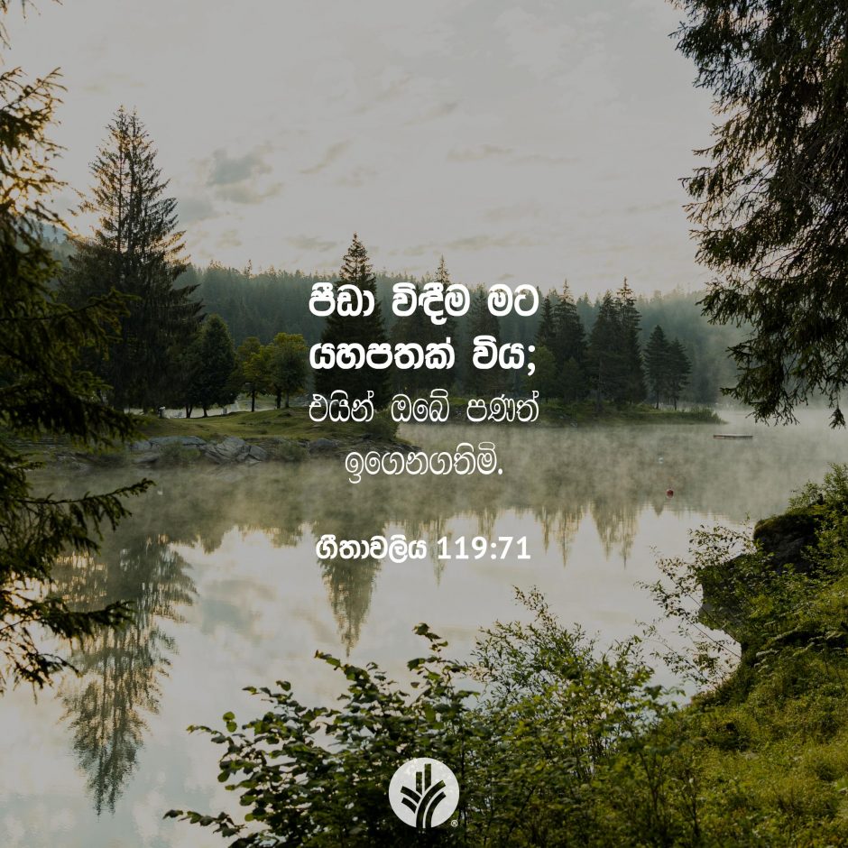 Share ODB 2025-12-03