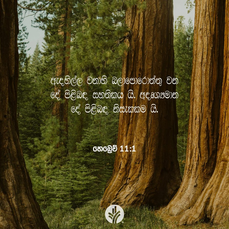 Share ODB 2025-12-04