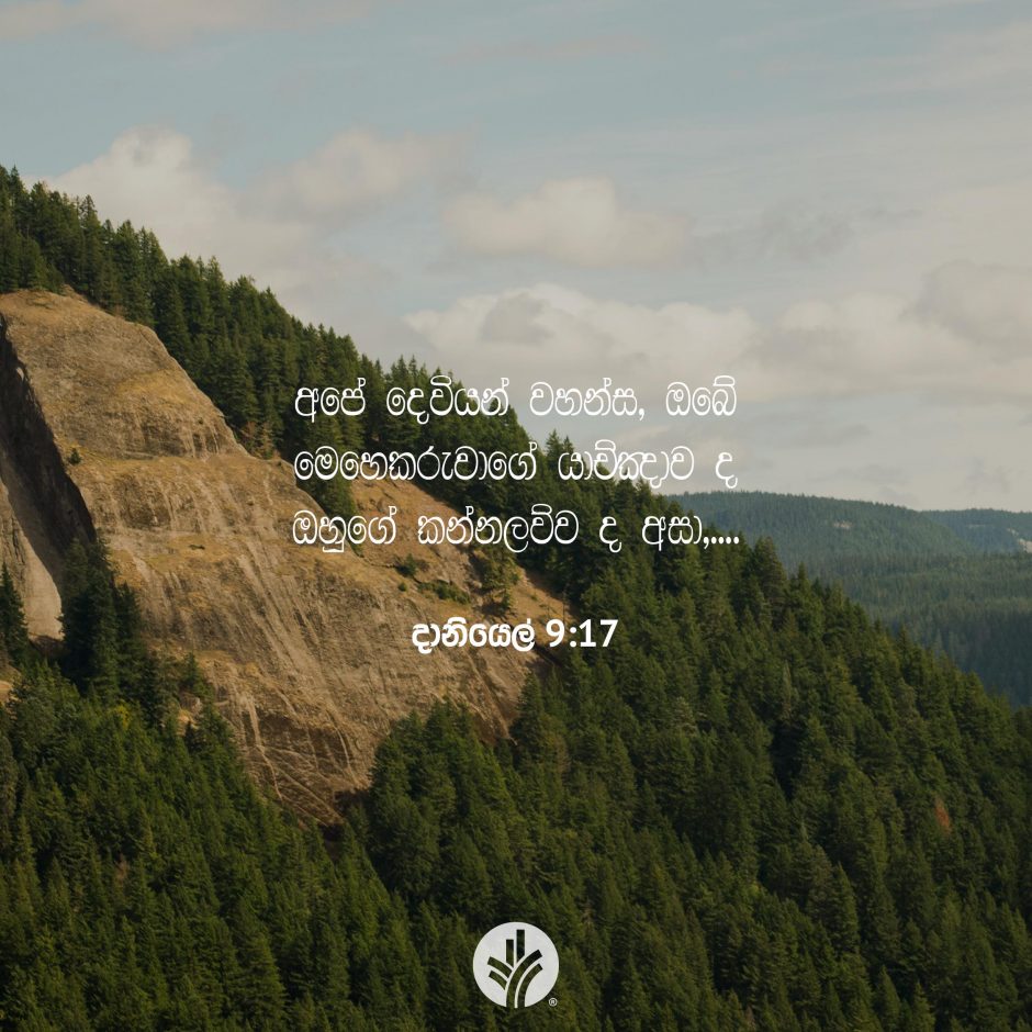 Share ODB 2025-12-07