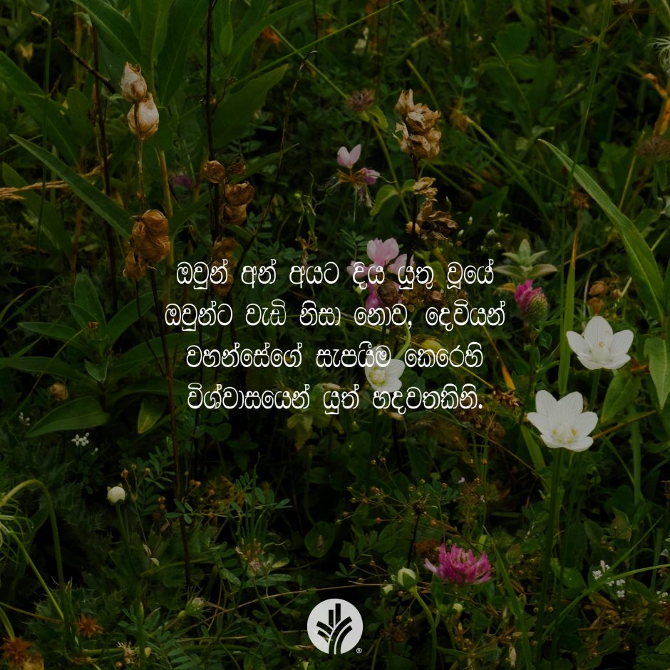 Share ODB 2025-12-08