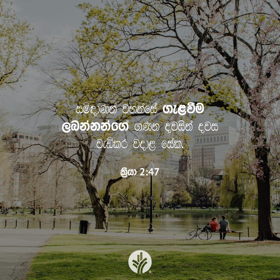 Share ODB 2025-12-09