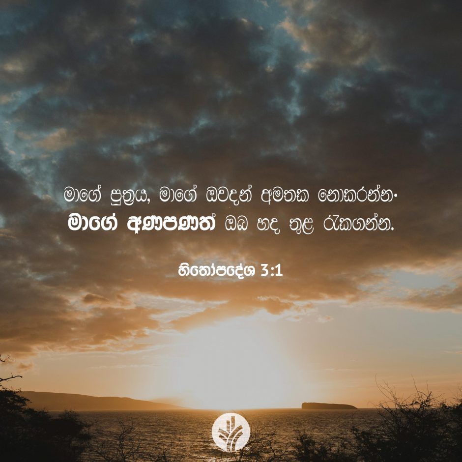 Share ODB 2025-12-10