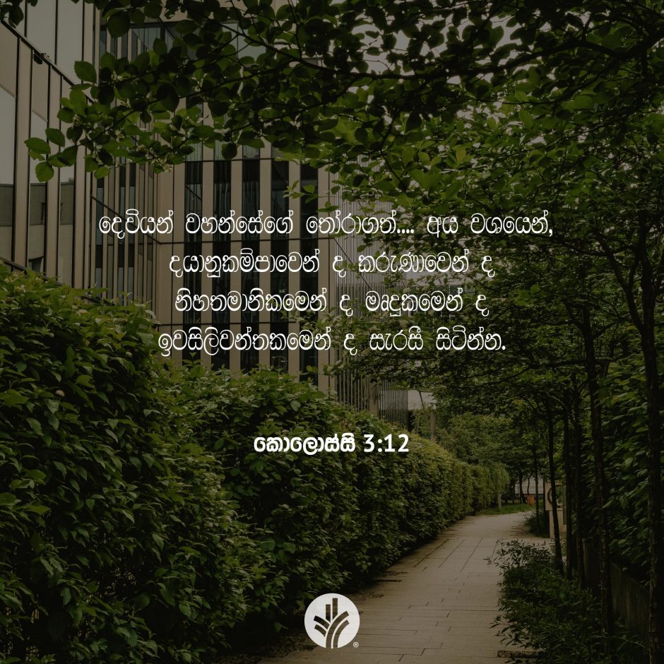 Share ODB 2025-12-11