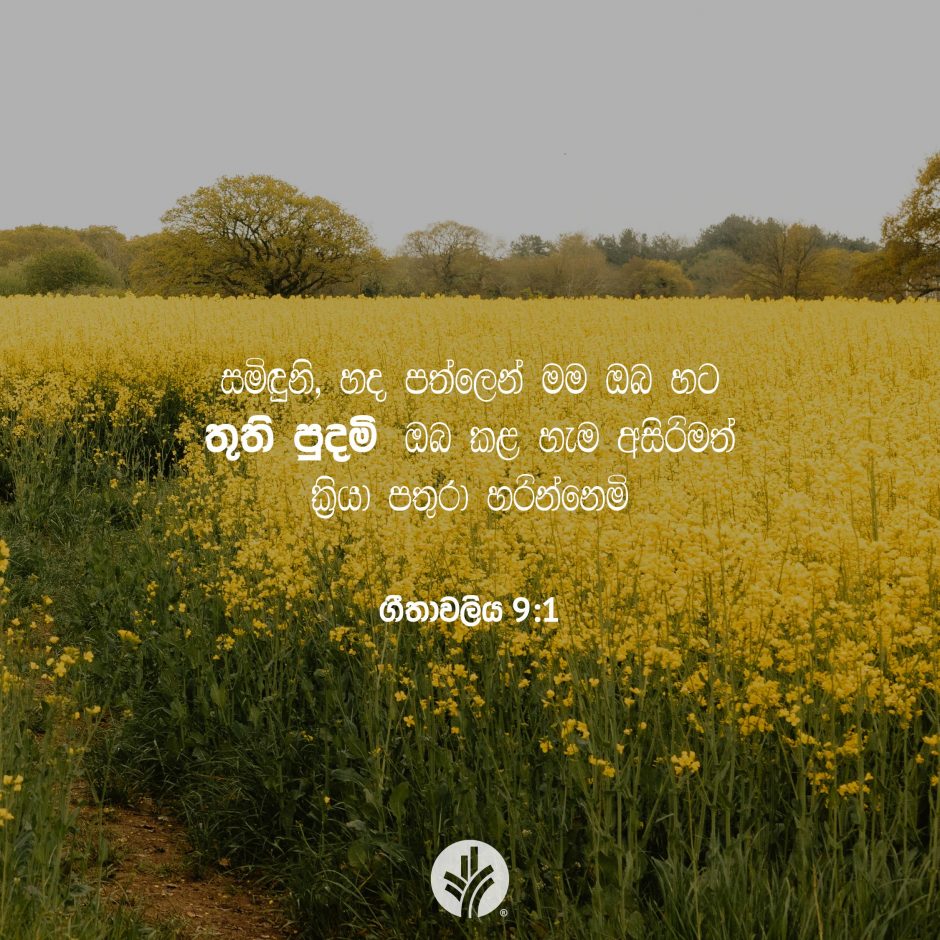 Share ODB 2025-12-12