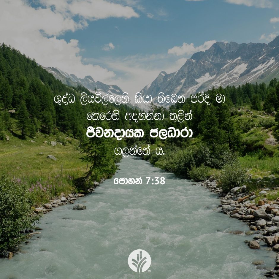 Share ODB 2025-12-14