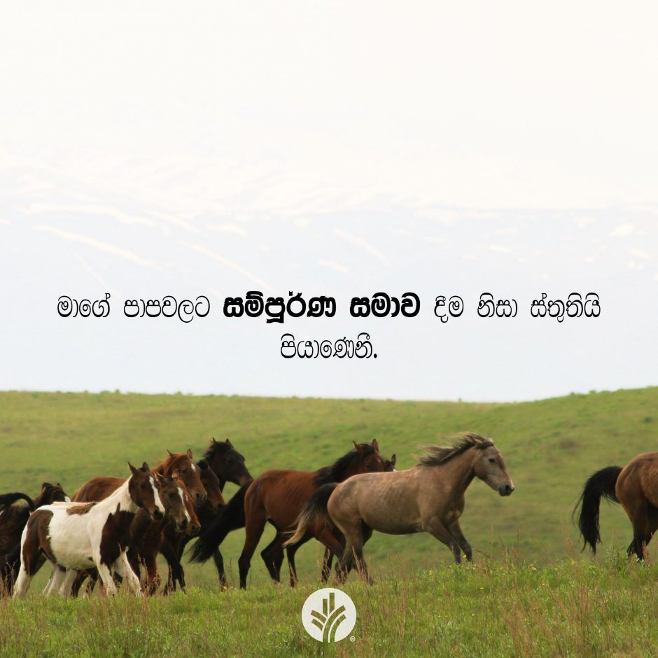 Share ODB 2025-12-15