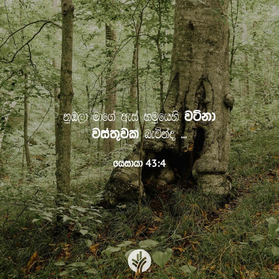 Share ODB 2025-12-17