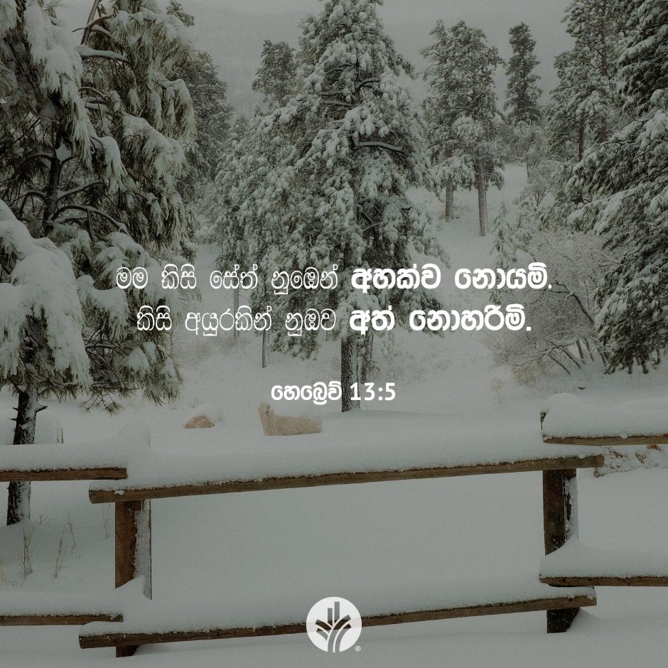 Share ODB 2025-12-20