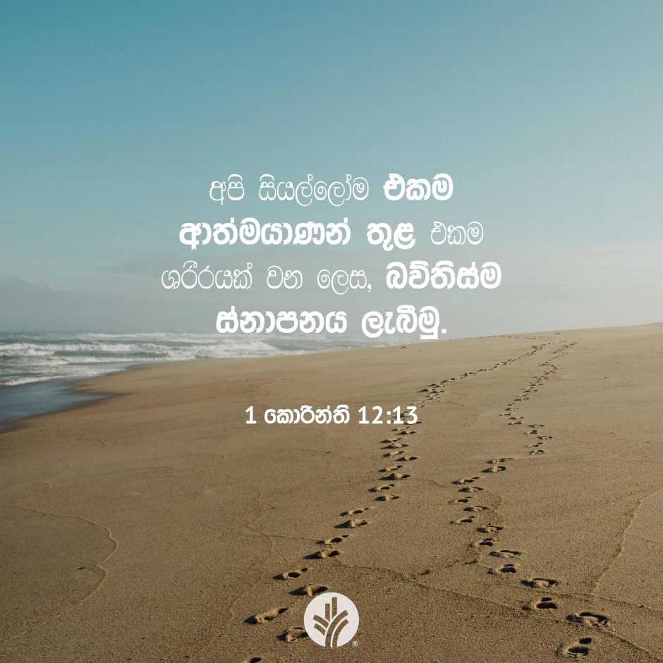 Share ODB 2025-12-22