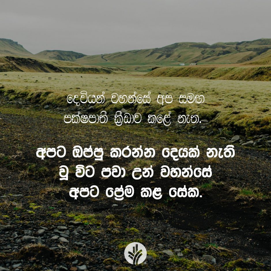 Share ODB 2025-12-23