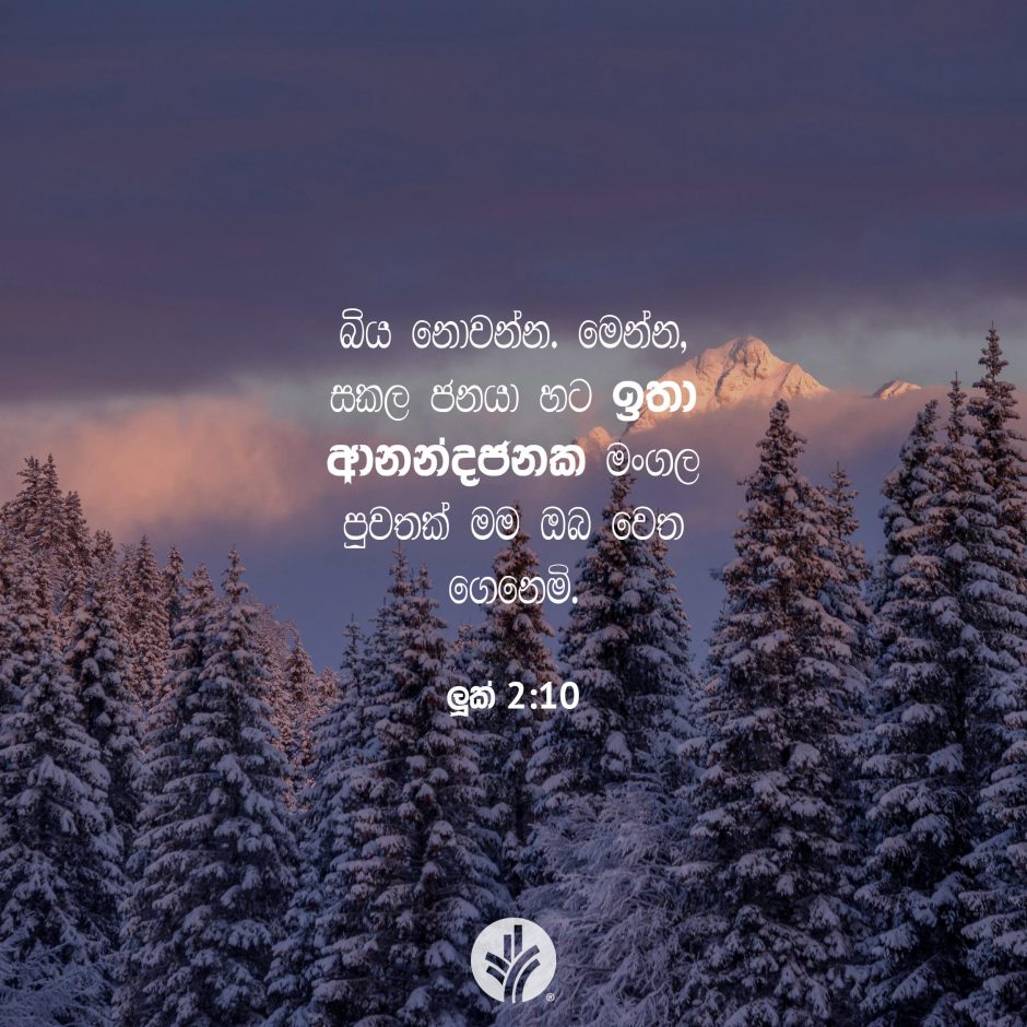 Share ODB 2025-12-24