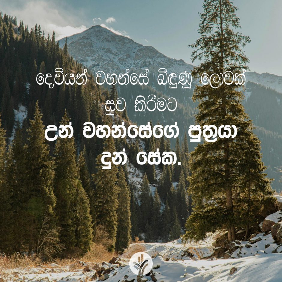 Share ODB 2025-12-25