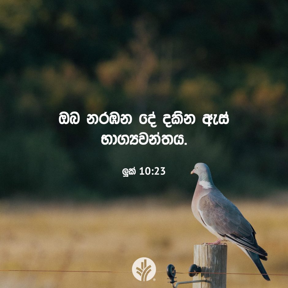 Share ODB 2025-12-26