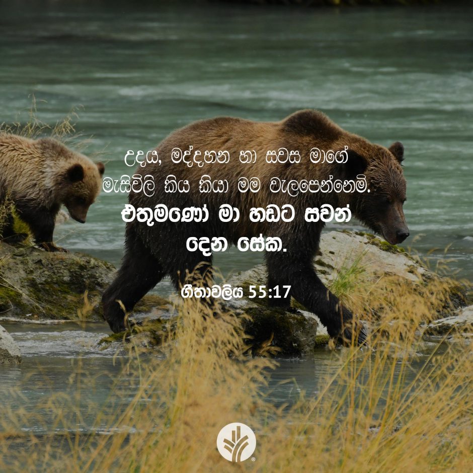 Share ODB 2025-12-27