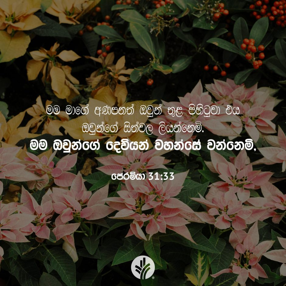 Share ODB 2025-12-28