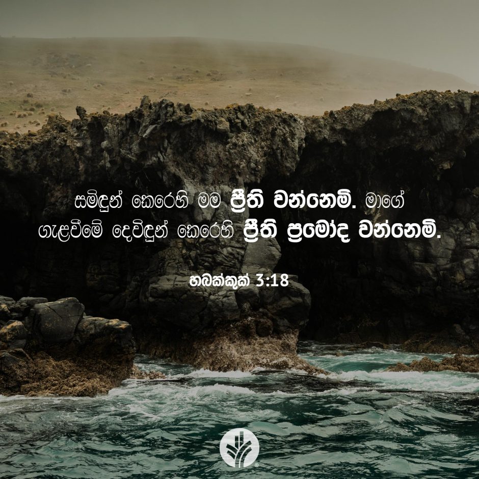 Share ODB 2025-12-29