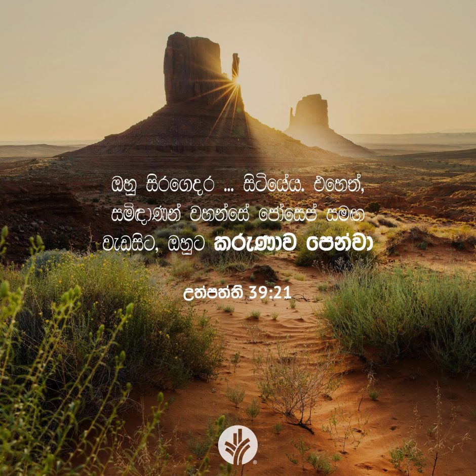 Share ODB 2025-12-30