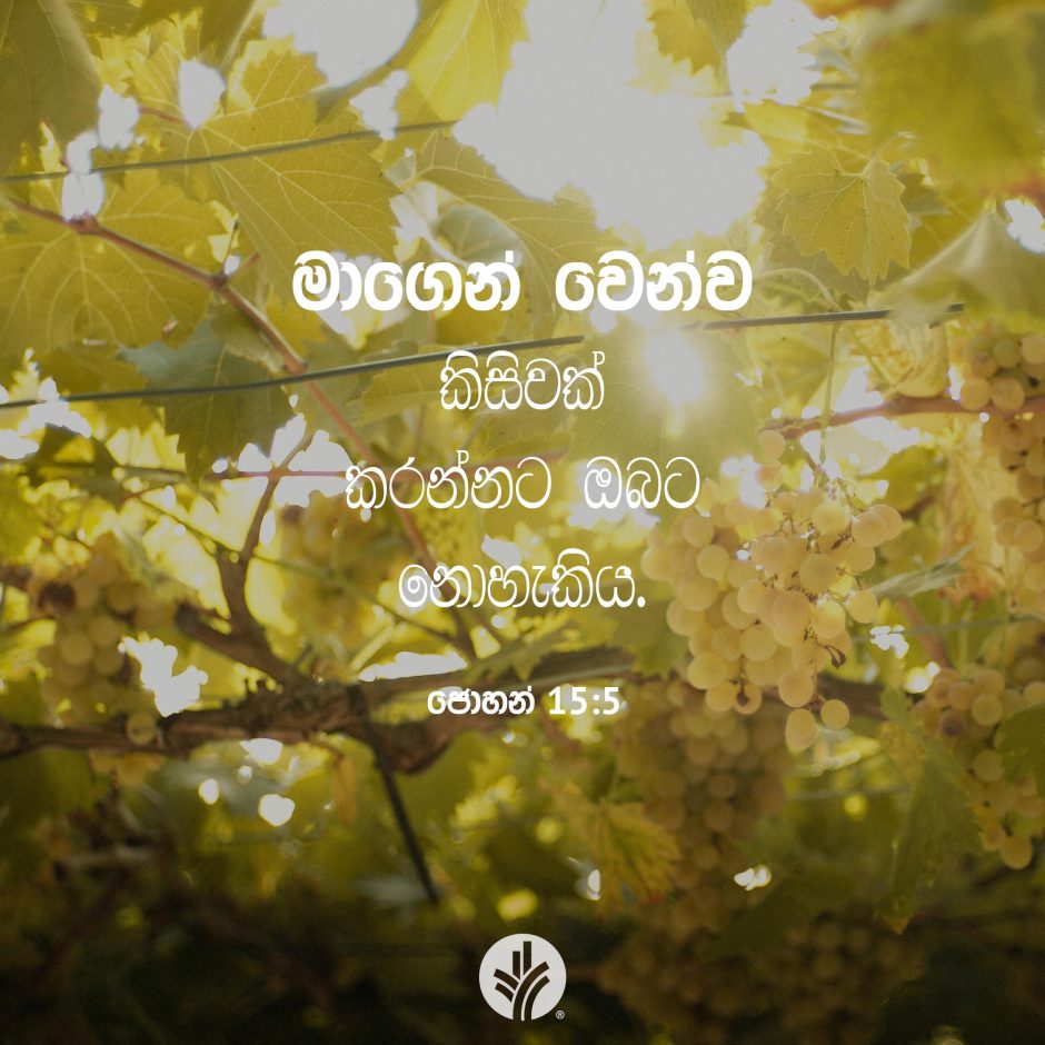 Share ODB 2025-12-31