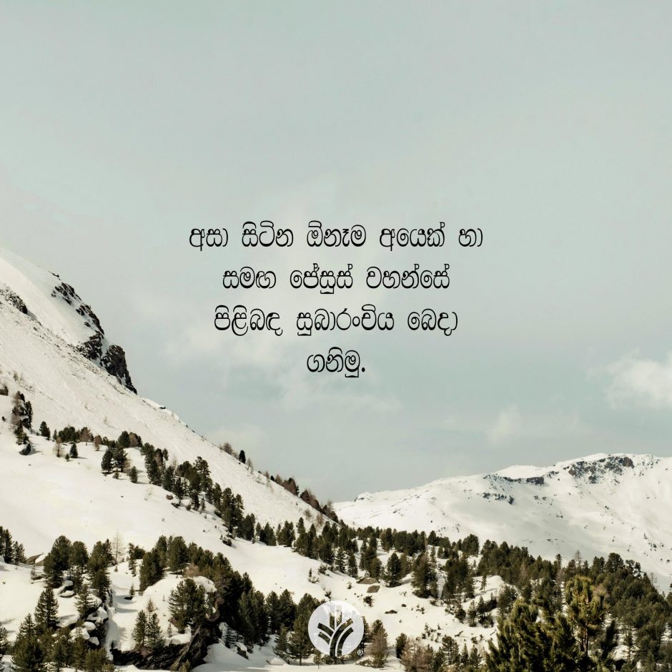 Share ODB 2026-01-01