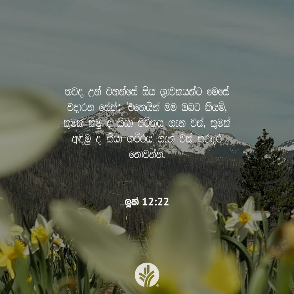 Share ODB 2026-01-04