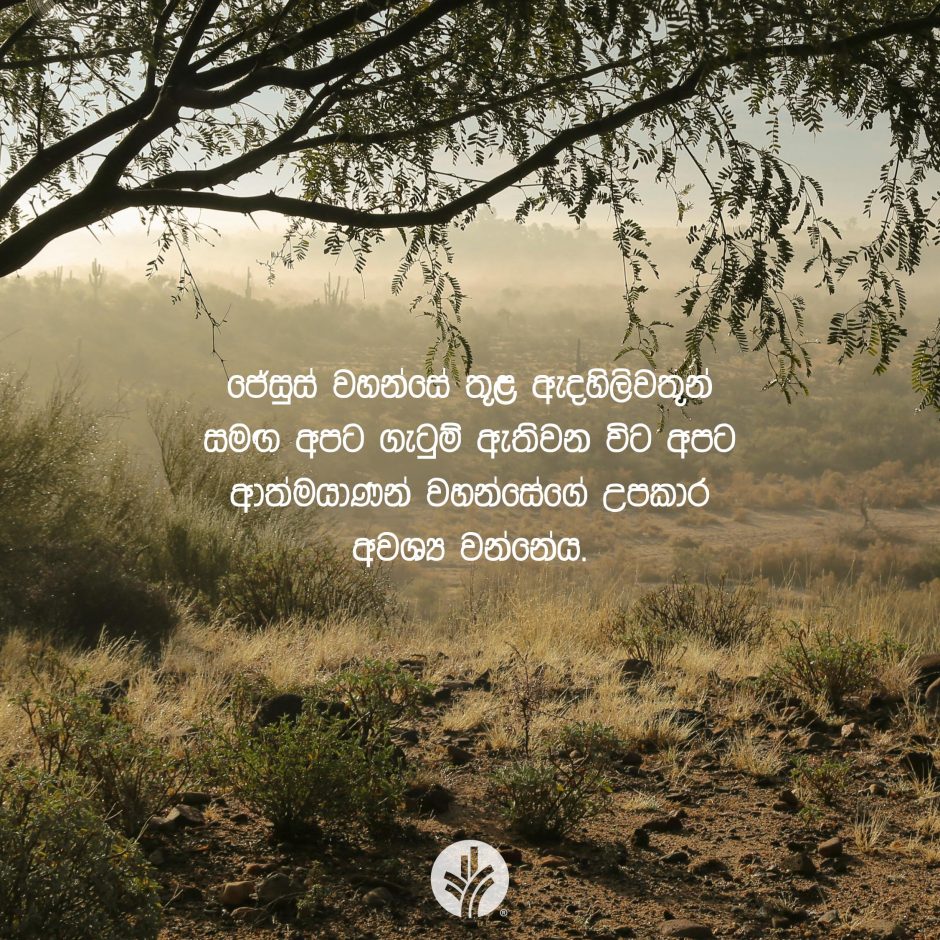 Share ODB 2026-01-07