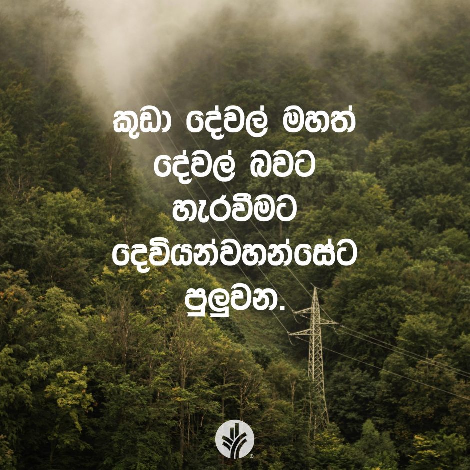 Share ODB 2026-01-08