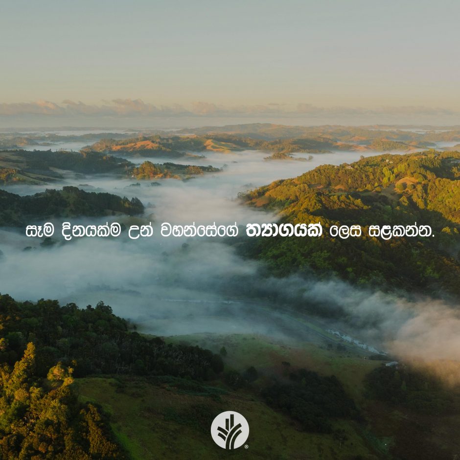 Share ODB 2026-01-10