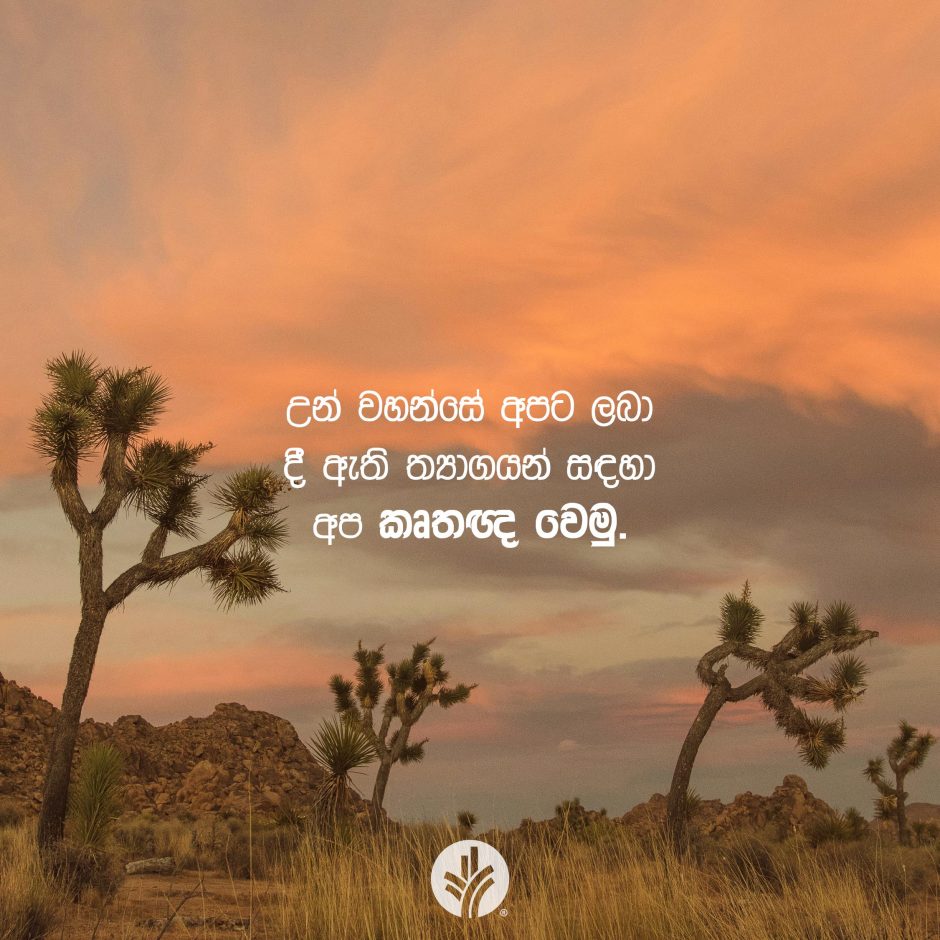 Share ODB 2026-01-11