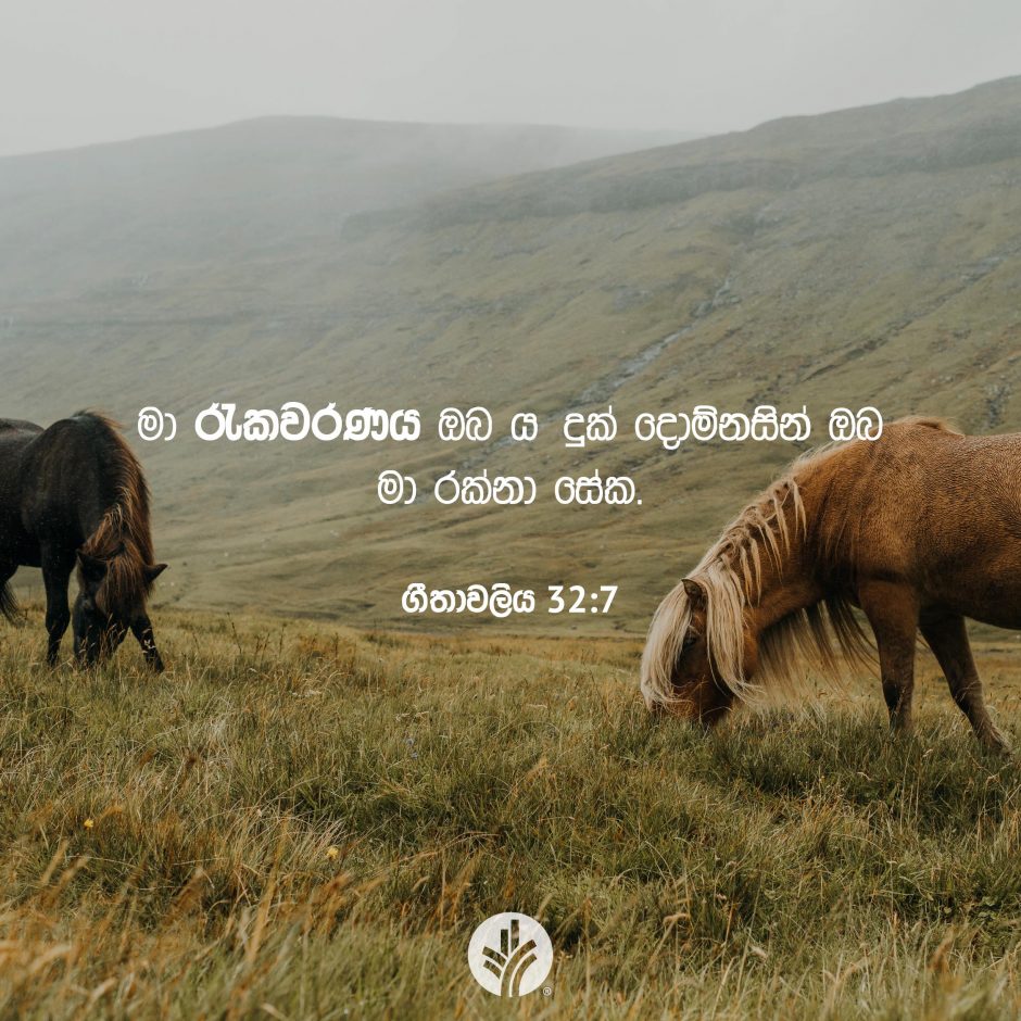 Share ODB 2026-01-12