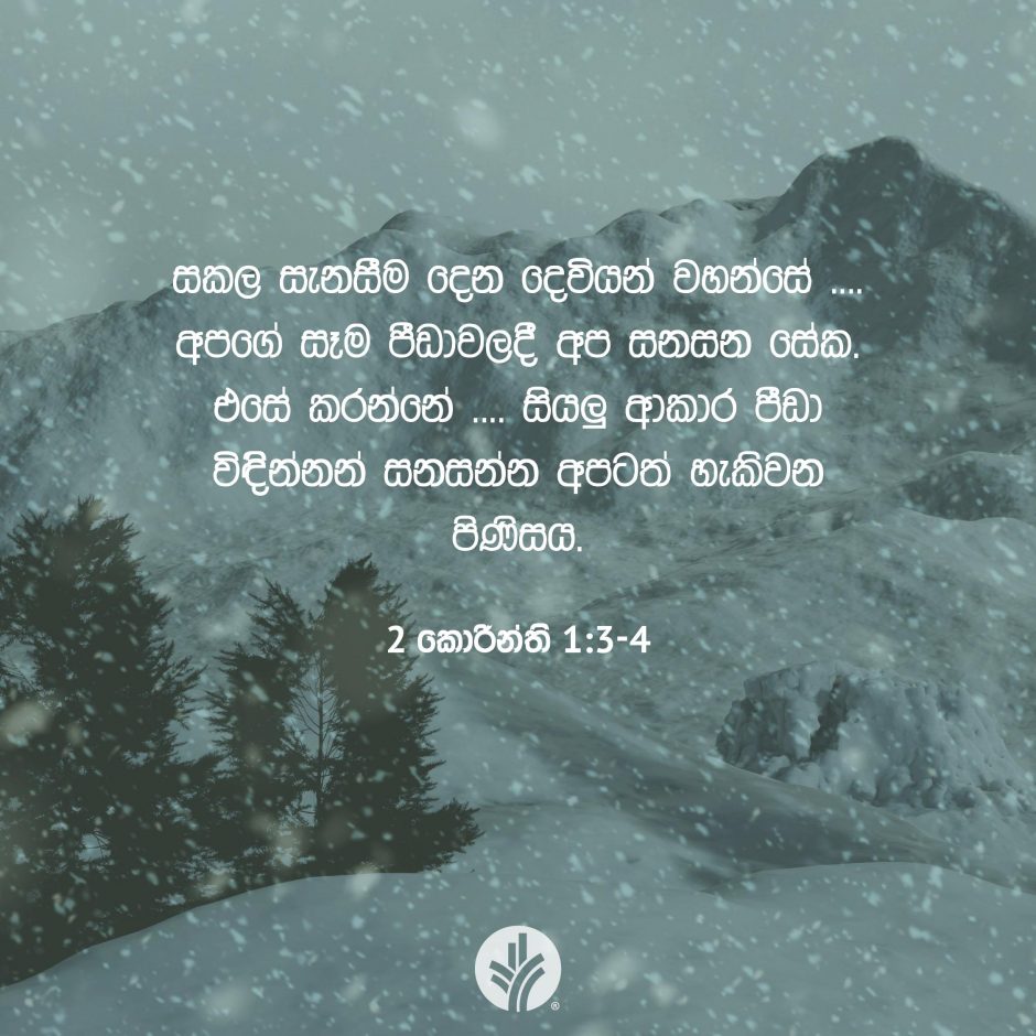 Share ODB 2026-01-14