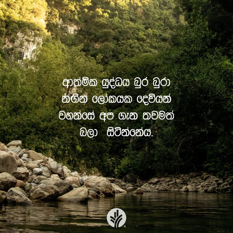 Share ODB 2026-01-15