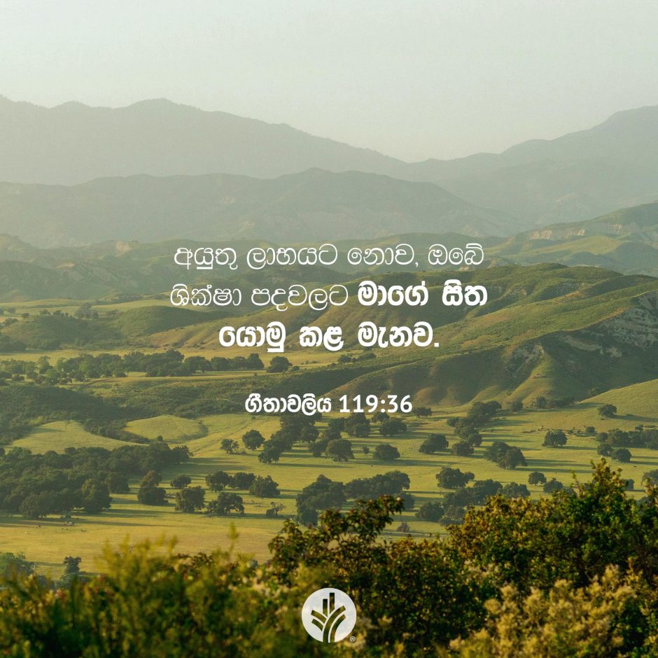 Share ODB 2026-01-16