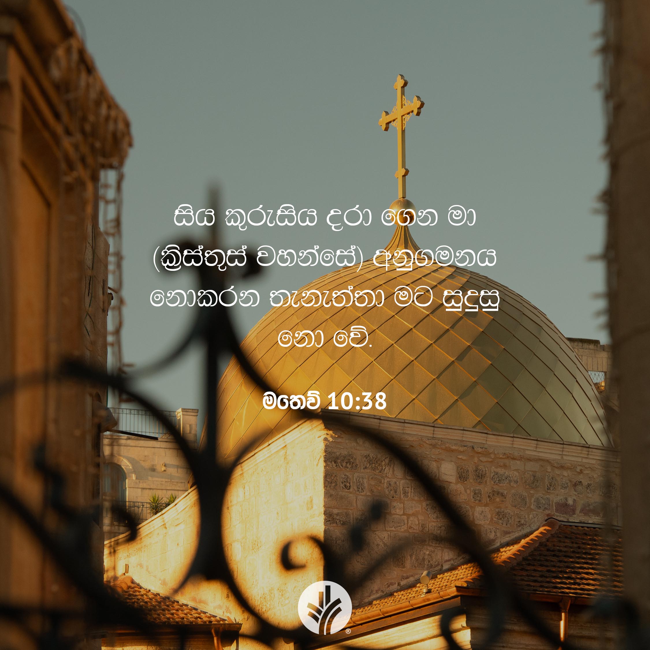 Share ODB 2026-01-17